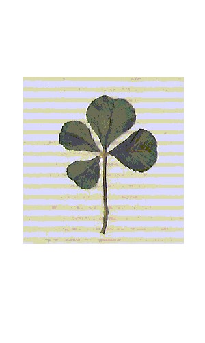 the flag of luck